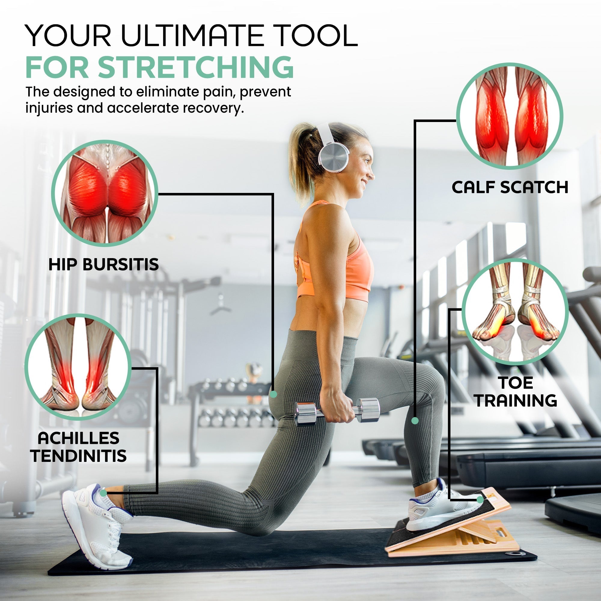 Ultimate Incline Bench