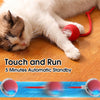 RollRaptor™ | The Interactive Play Ball for Happy Pets