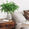 Natural Christmas Greenery Norfolk Pine Branch