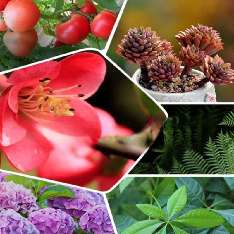 GreenBoost™ – Highly Concentrated Fertilizer for New Plant Growth