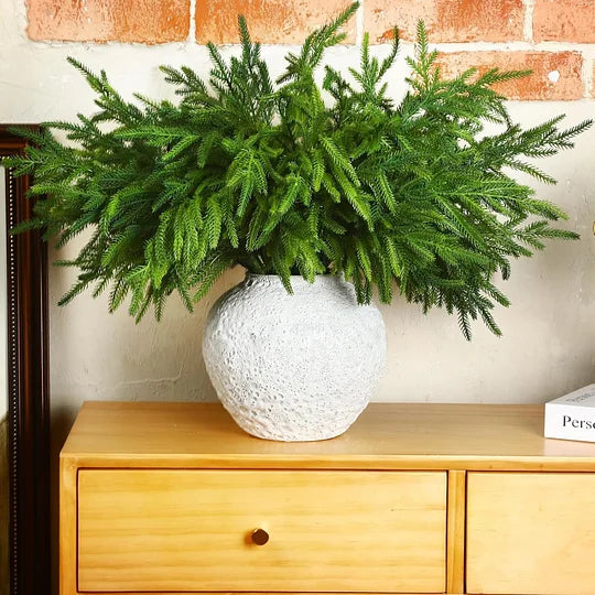 Natural Christmas Greenery Norfolk Pine Branch