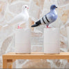 PigeonClean™ – Automatic Soap Dispenser for Maximum Hygiene