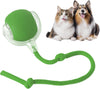RollRaptor™ | The Interactive Play Ball for Happy Pets