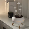 Jellyfuser™ | Aroma Diffuser for Essential Oils