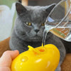 Steam Brush for Pets