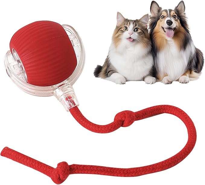 RollRaptor™ | The Interactive Play Ball for Happy Pets