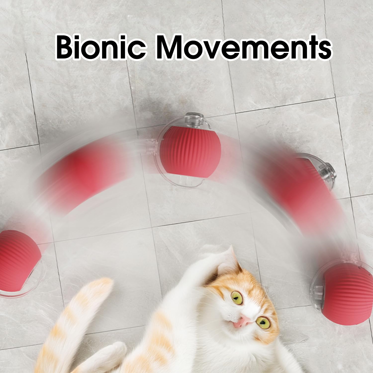 RollRaptor™ | The Interactive Play Ball for Happy Pets