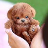 Nico™ | Original Realistic Robot Puppy🐶