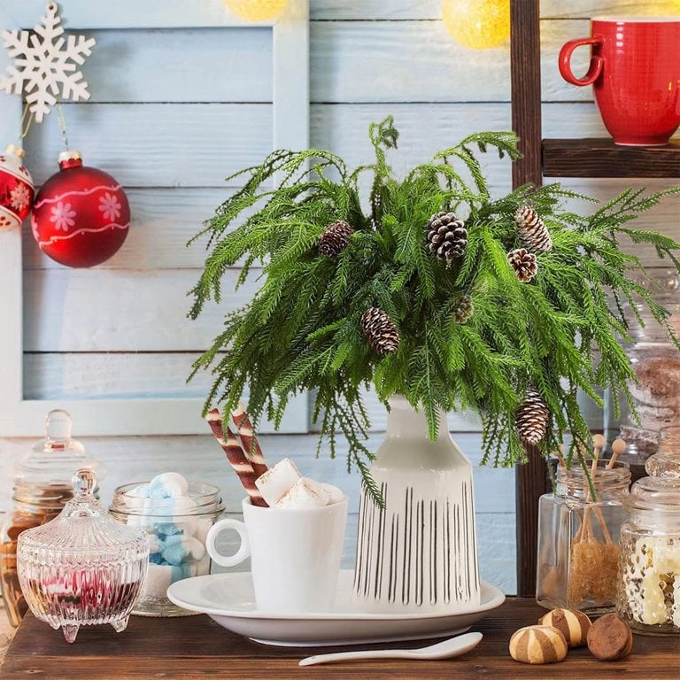Natural Christmas Greenery Norfolk Pine Branch
