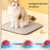 RollRaptor™ | The Interactive Play Ball for Happy Pets