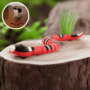 SnakeToy™ – Your new interactive playmate for cats