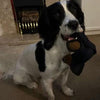 Unbearable™ - Durable Chew Toy