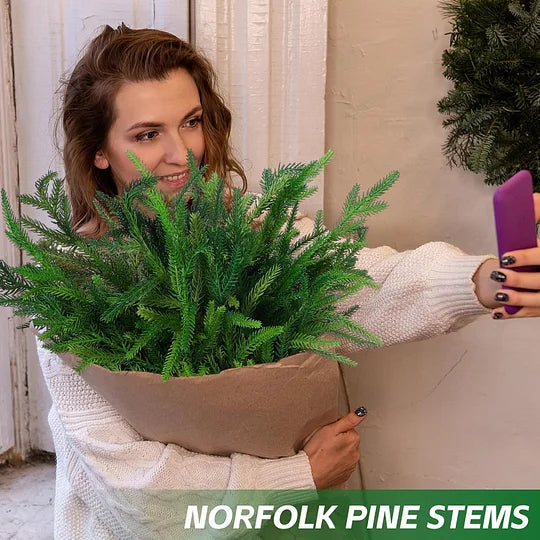 Natural Christmas Greenery Norfolk Pine Branch