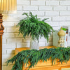 Natural Christmas Greenery Norfolk Pine Branch