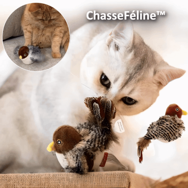 Katzenjagd™ | Awaken Your Cat's Wild Instinct!