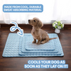 Pet Cooling Mat | Wellness Oasis for Your Four-Legged Friends