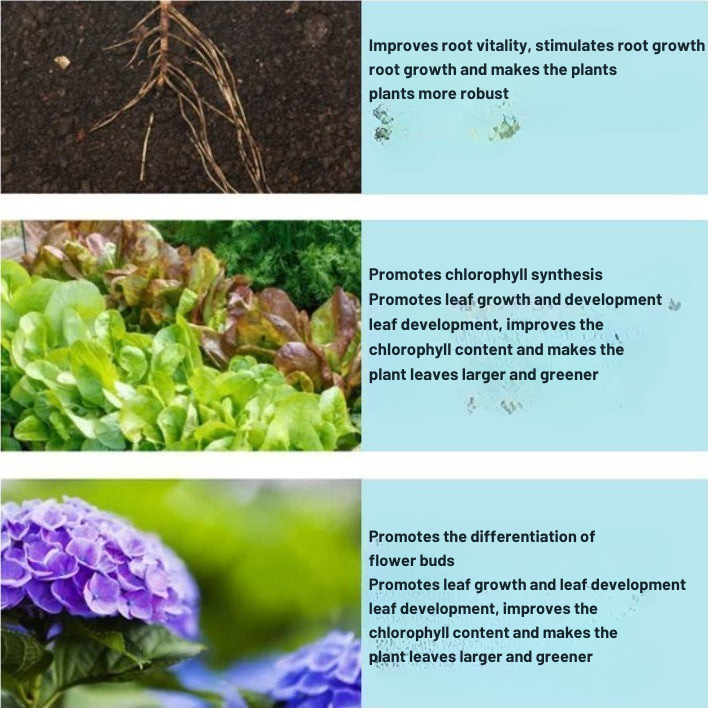 GreenBoost™ – Highly Concentrated Fertilizer for New Plant Growth