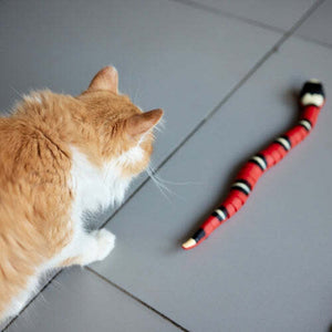 SnakeToy™ – Your new interactive playmate for cats