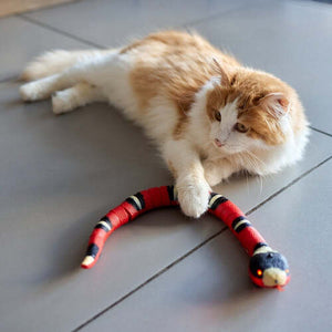 SnakeToy™ – Your new interactive playmate for cats