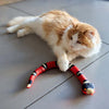 SnakeToy™ – Your new interactive playmate for cats