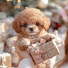 Nico™ | Original Realistic Robot Puppy🐶