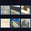 Ultra-durable waterproof leak-proof adhesive