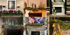 Natural Christmas Greenery Norfolk Pine Branch