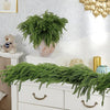 Natural Christmas Greenery Norfolk Pine Branch