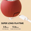 RollRaptor™ | The Interactive Play Ball for Happy Pets