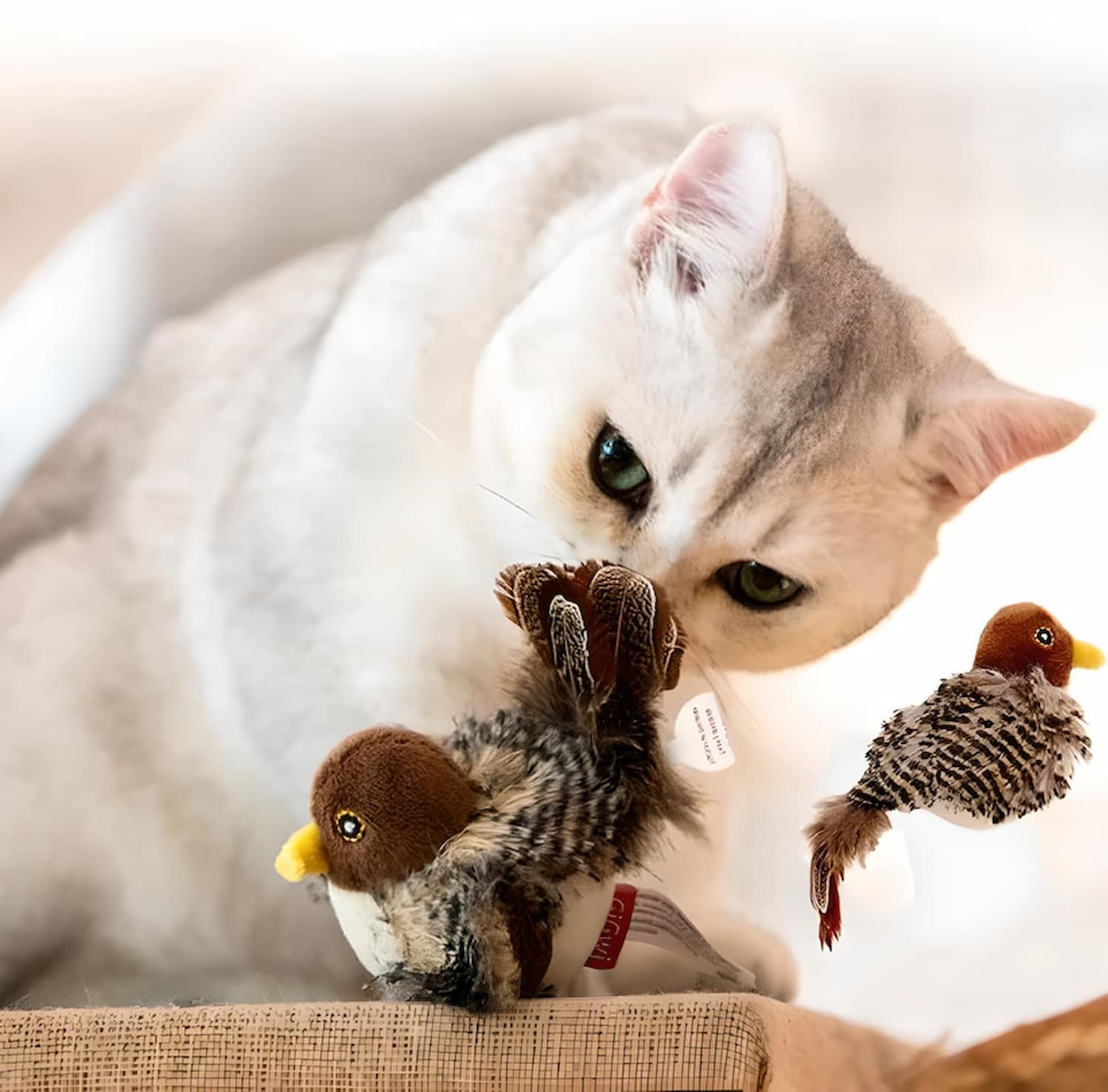 Katzenjagd™ | Awaken Your Cat's Wild Instinct!