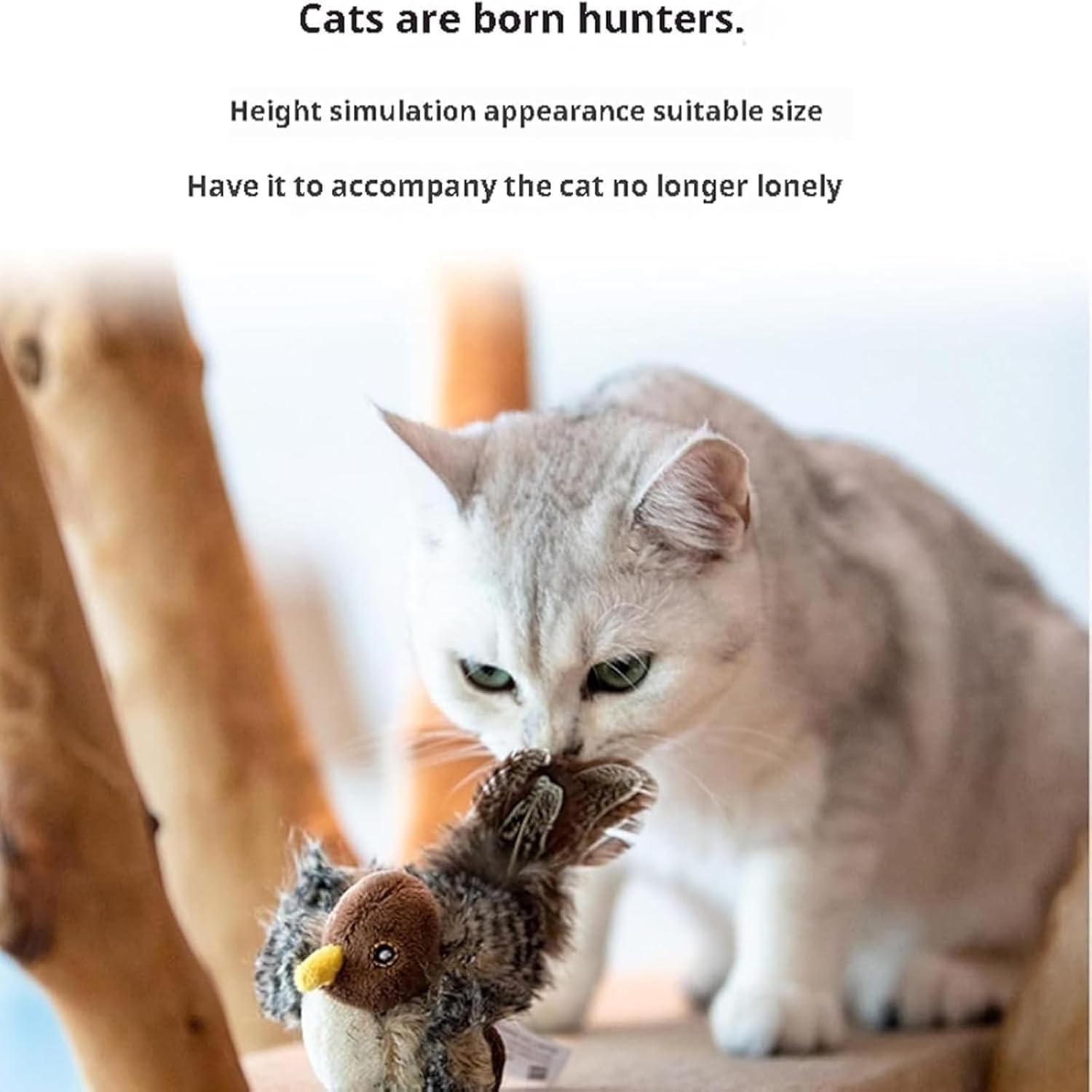 Katzenjagd™ | Awaken Your Cat's Wild Instinct!