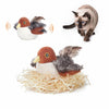 Katzenjagd™ | Awaken Your Cat's Wild Instinct!