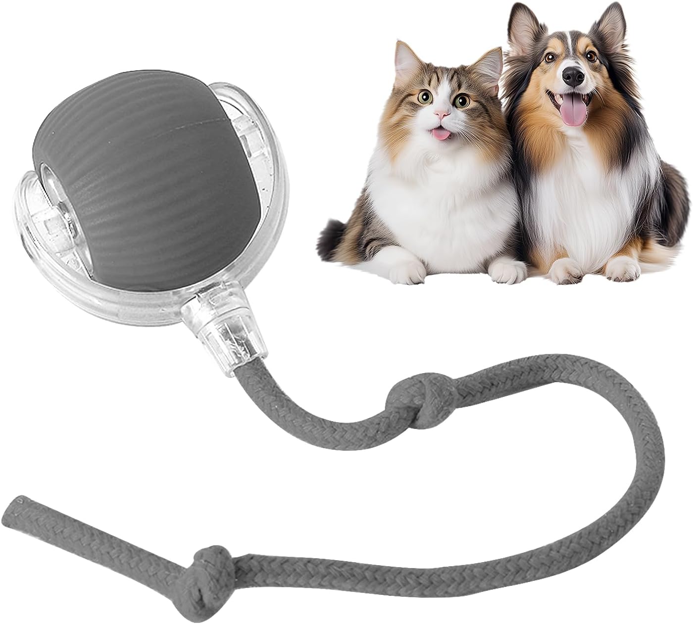 RollRaptor™ | The Interactive Play Ball for Happy Pets