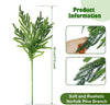 Natural Christmas Greenery Norfolk Pine Branch