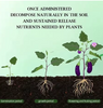 GreenBoost™ – Highly Concentrated Fertilizer for New Plant Growth