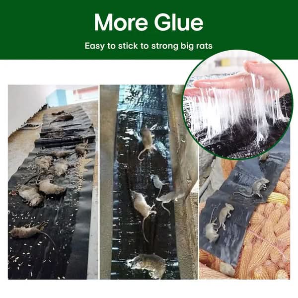 Rat Sticky Trap – Extra Strong Adhesion for Effective Pest Control