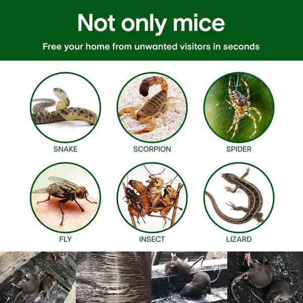 Rat Sticky Trap – Extra Strong Adhesion for Effective Pest Control