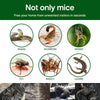 Rat Sticky Trap – Extra Strong Adhesion for Effective Pest Control