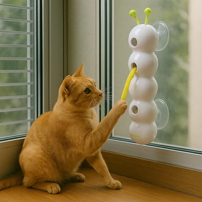 FurrWhirl – Interactive Cat Toy with Worm Motion